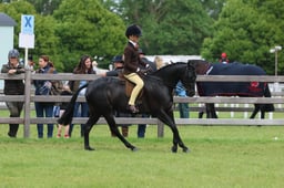 S31_8060 2026