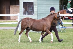 Z43_5732 2026