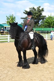 05B M&M Junior Ridden Large Breed