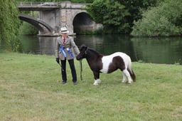 L29_0361 2026
