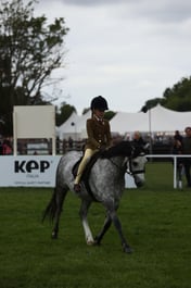 E30_4503 2026