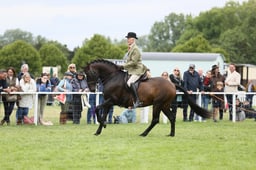 E30_4133 2026