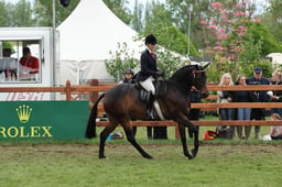 147 Intermediate SRT 158cm