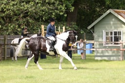 L42_8707 2026