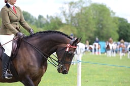 W36_0855 2026