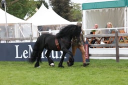 W29_0874 2026