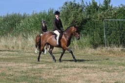 S60_0257 2026