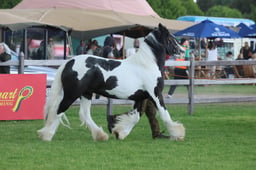 S28_9469 2026