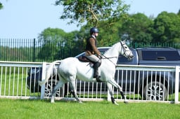 65 WHP RIHS Open 153cms