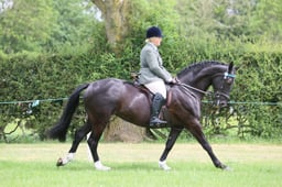 M36_2181 2026