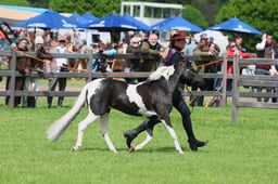 S28_8889 2026