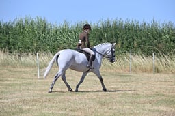 S60_0697 2026