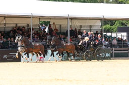 H31_0417 2026