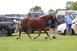 J36_6691 2026