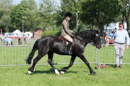 C33_0805 2026