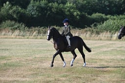 S60_0085 2026