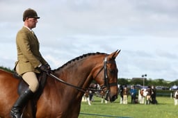 E36_0324 2026