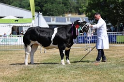 H68_0899 2026