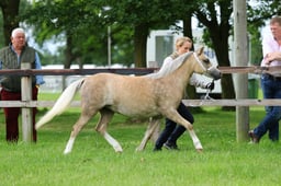 H41_1496 2026