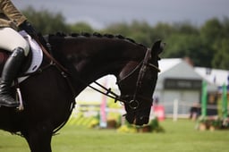 S38_0203 2026