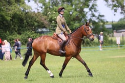 M36_2753 2026