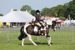 C34_0507 2026