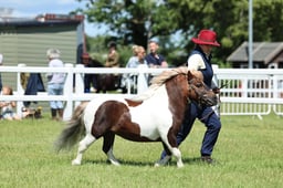 Z41_1513 2026