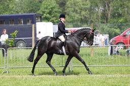 34 HOYS Small Hack