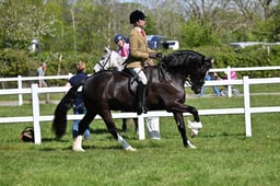 A19_2775 2026