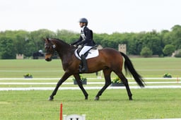B20_2794 2026