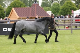 W29_0681 2026