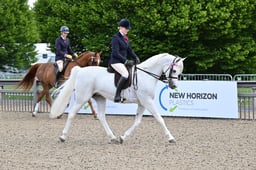 A31_0357 2026