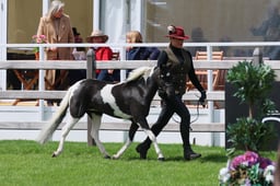 S28_8872 2026