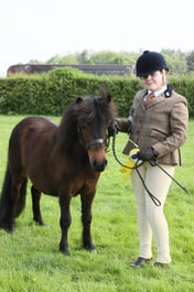 E34_0397 2026