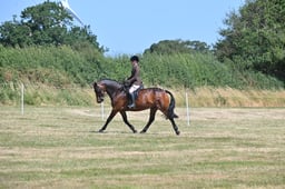 S60_0644 2026