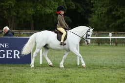 E30_4403 2026