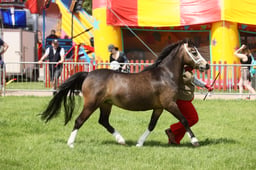 E34_1648 2026