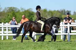 H19_1604 2026