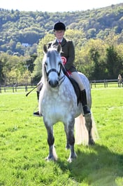 112 M&M Intermediate Fell Dales High