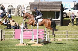 551 THE ELLFIELD DIKSTER
