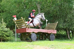 139 Barnadown Lad