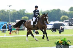 B20_4433 2026