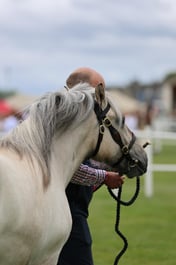 C44_0693 2026