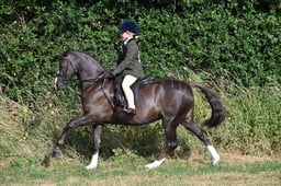 S60_0094 2026