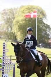564 BROADSTONE LION MAN