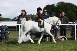 E30_0350 2026