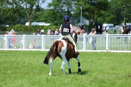 F33_0888 2026