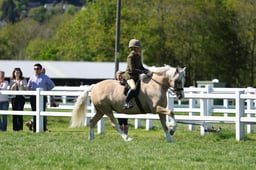 H19_2010 2026