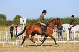 E60_5192 2026