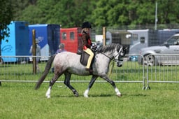 114-113 M&M Mini Championship